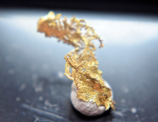 Nativ GOLD aus Rosia Montana