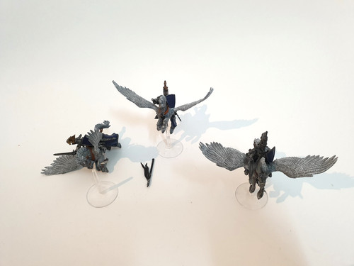 Pegasusritter bretonnian - 3,