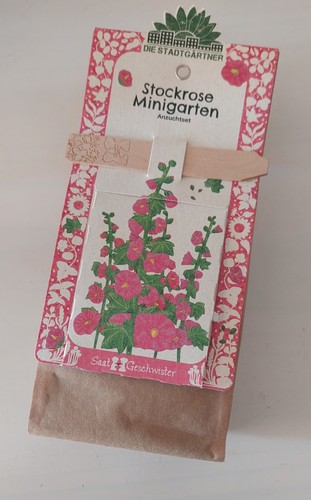 Minigarten stockrosen malve - stockrosen,