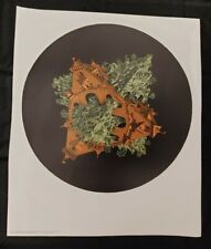 M.C. Escher Doppelplanetoid ca. 55cm x 65cm Poster Bild / Double Planetoid