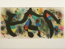 dr2/2  JOAN MIRO