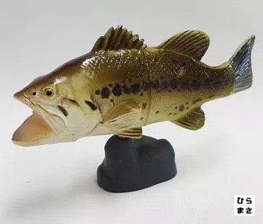 Largemouth bass classic - bass,
