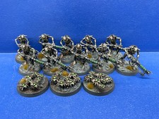 10 Necronkrieger / Necron