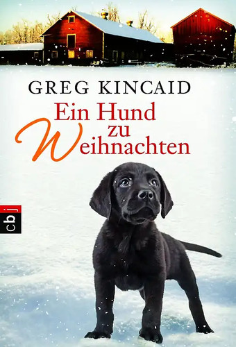 Ein hund weihnachten - zu,