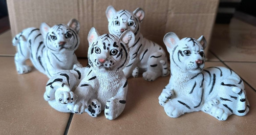 Tiger weiß stk - weiß, stk.