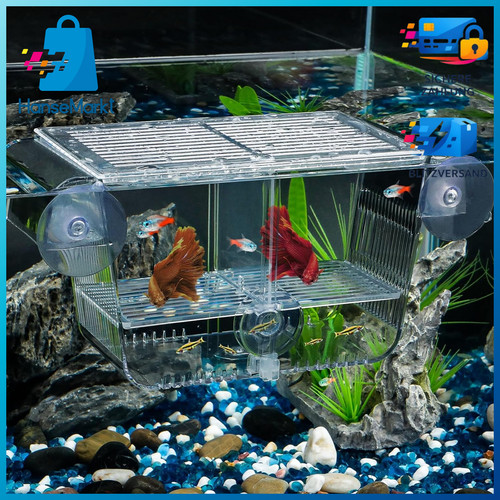Aufzuchtbecken aquarium - aufzuchtbecken,