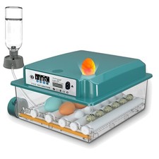 Inkubator für Hühnereier