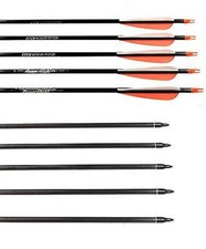 Carbonpfeile Easton