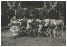 V9754/ Staatszirkus der DDR