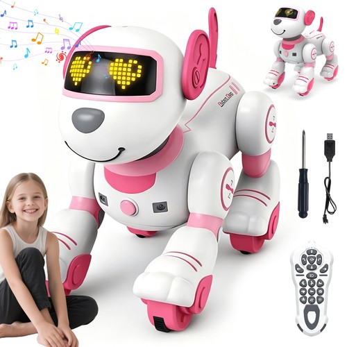 Ferngesteuerter roboter hund - ferngesteuerter,