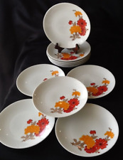 11 x Mitterteich Bavaria Porzellan weiß Blumendokor Teller Ø 19,5 cm Vintage 70´