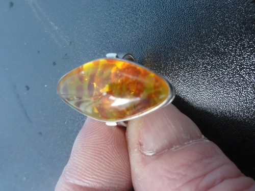 Bernstein ring fischland - ring,