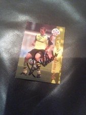 Borussia Dortmund Knut