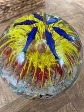 XXL Glaskugel Aquarium Fische