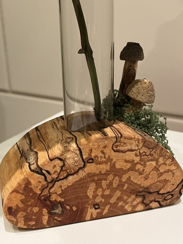 Reagenzglas vase holz - vase,