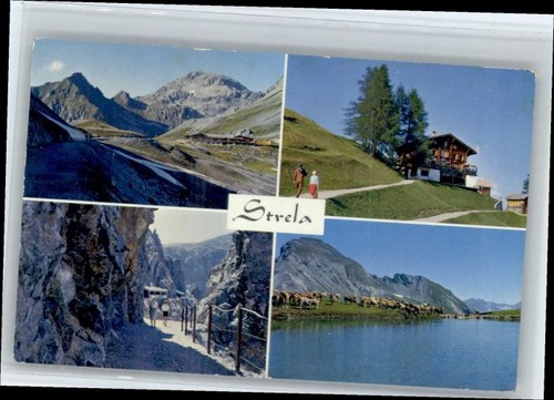Strela alp - strela,