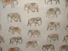 Jaipur Indisch Elefant