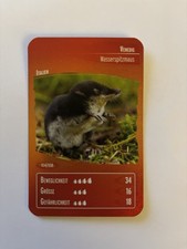 Ozeanien 7 - Schätze Unseres