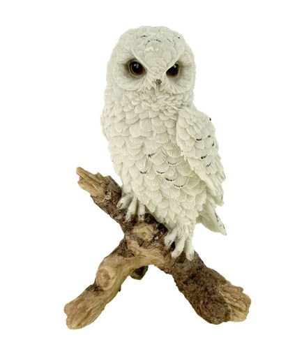 Schneeeule auf ast - auf, stehend