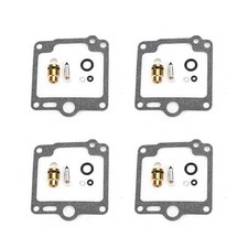 Vergaser Reparatur Satz für