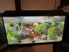 Juwel Aquamarium Dehner