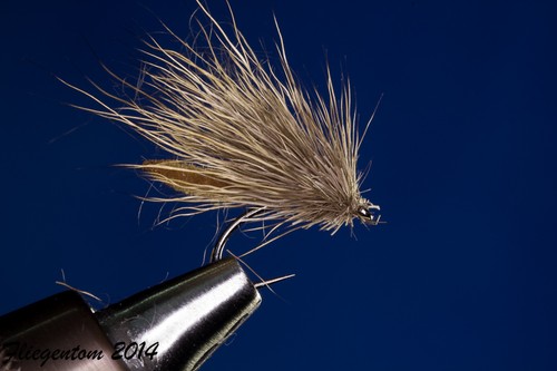 Fliegentom trockenfliege - trockenfliege, 3