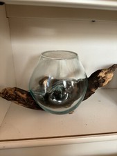 Plant Terrarium