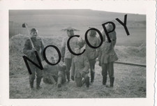 Foto wk2 frankreich - foto,