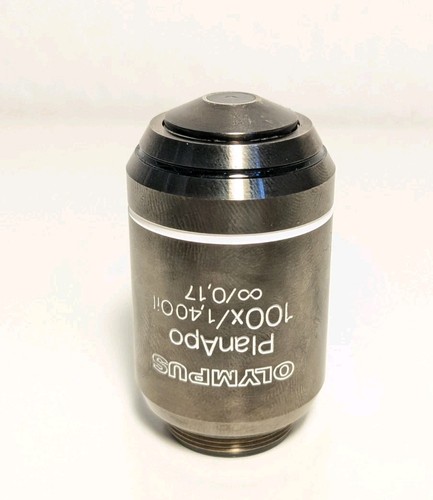 Planapo 100x oil oo - planapo,
