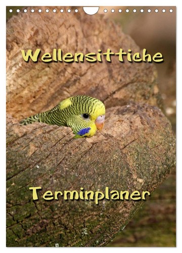 Wellensittiche terminplaner - wellensittiche,