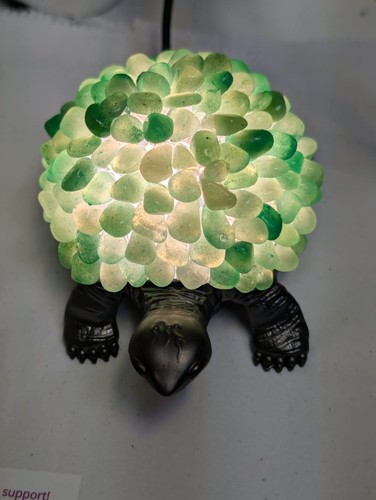 Schildkröte aventurin - schildkröte,