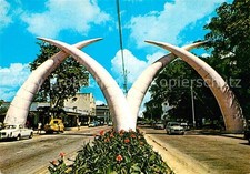 Mombasa Giant tusks