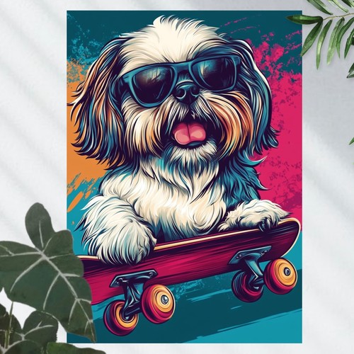 Shih tzu hund auf skateboard - tzu,