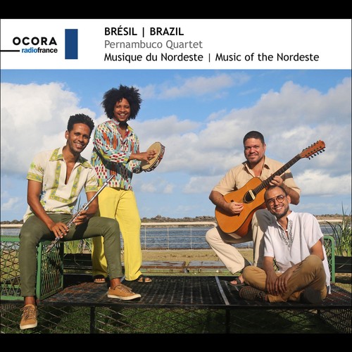 Pernambuco quartet brazil - pernambuco,