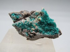 Dioptas Tsumeb Mine Tsumeb