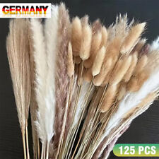125 Stück Getrocknetes Pampasgras Wohnzimmer Getrocknet Trockenblumen Vasen Deko