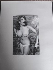 RAQUEL WELCH : SCHÖNES FOTO 