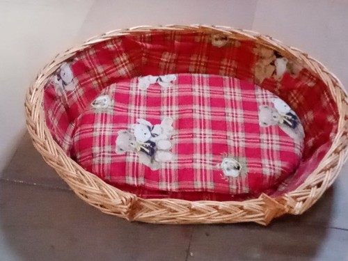 Hunde katzen korb - hunde, aus
