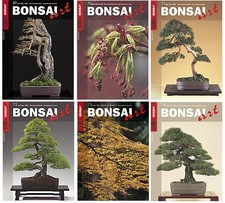 Bonsai Art - Jahrgang 2005 - Nr. 69 bis 74 - Zeitschrift - gelesen