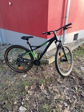 Sharptail Street 2. Das