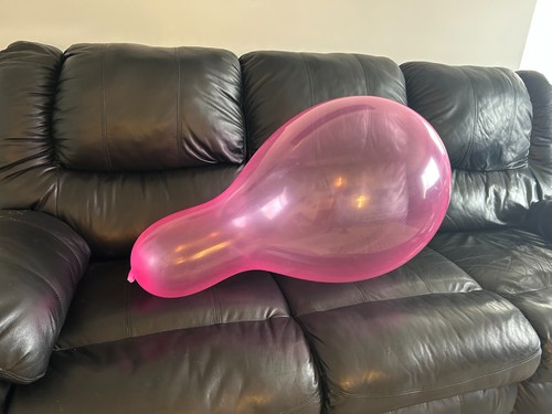 C24ln long neck - c24ln, balloon