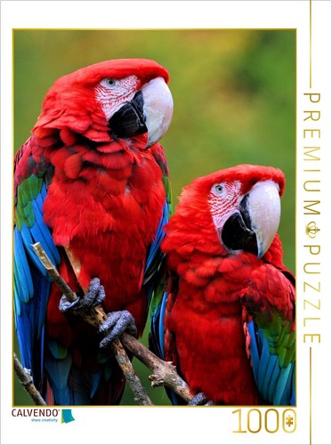 Calvendo puzzle - calvendo,