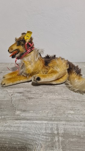 Steiff hund collie 4250 - hund,