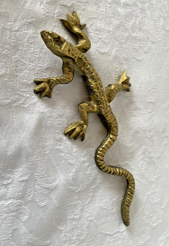 Kleine eidechse gecko - kleine, eidechse/gecko