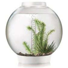 biOrb Nano-Aquarium Komplett-Set CLASSIC 30 LED Thermo weiß