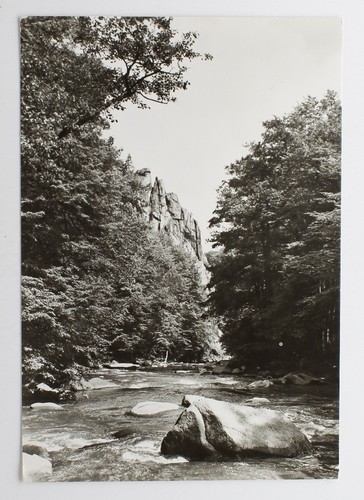 Echtfoto postkarte ein - ak,