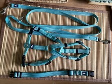 Dehner(Hunter) Leine, Hundegeschirr S Und Halsband