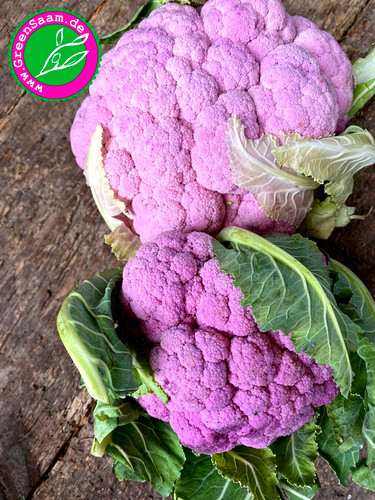 Blumenkohl sicilia - di,