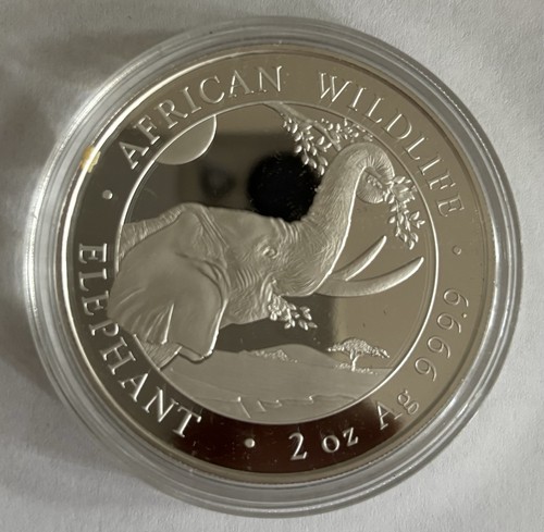 Somalia elefant 2023 - somalia,