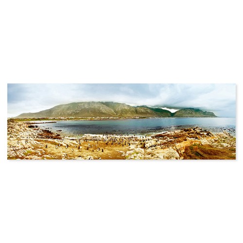 Postereck 1271 poster - postereck,
